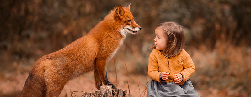 bimba che guarda impaurita una volpe vicinissima a lei